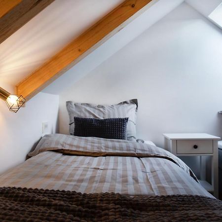 Bright & Spacious Loft In The Heart Of Old Town 卢布尔雅那 外观 照片
