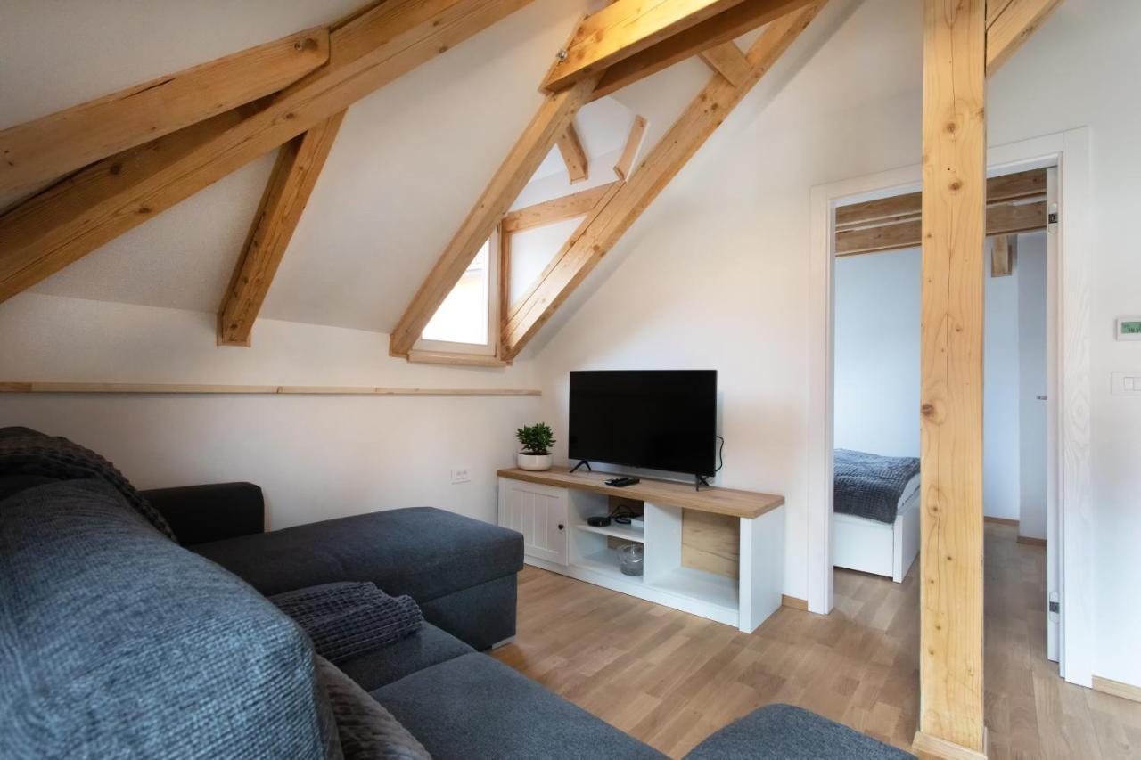 Bright & Spacious Loft In The Heart Of Old Town 卢布尔雅那 外观 照片