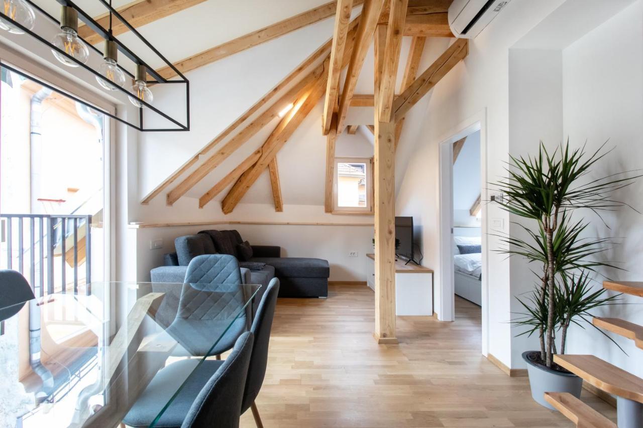 Bright & Spacious Loft In The Heart Of Old Town 卢布尔雅那 外观 照片