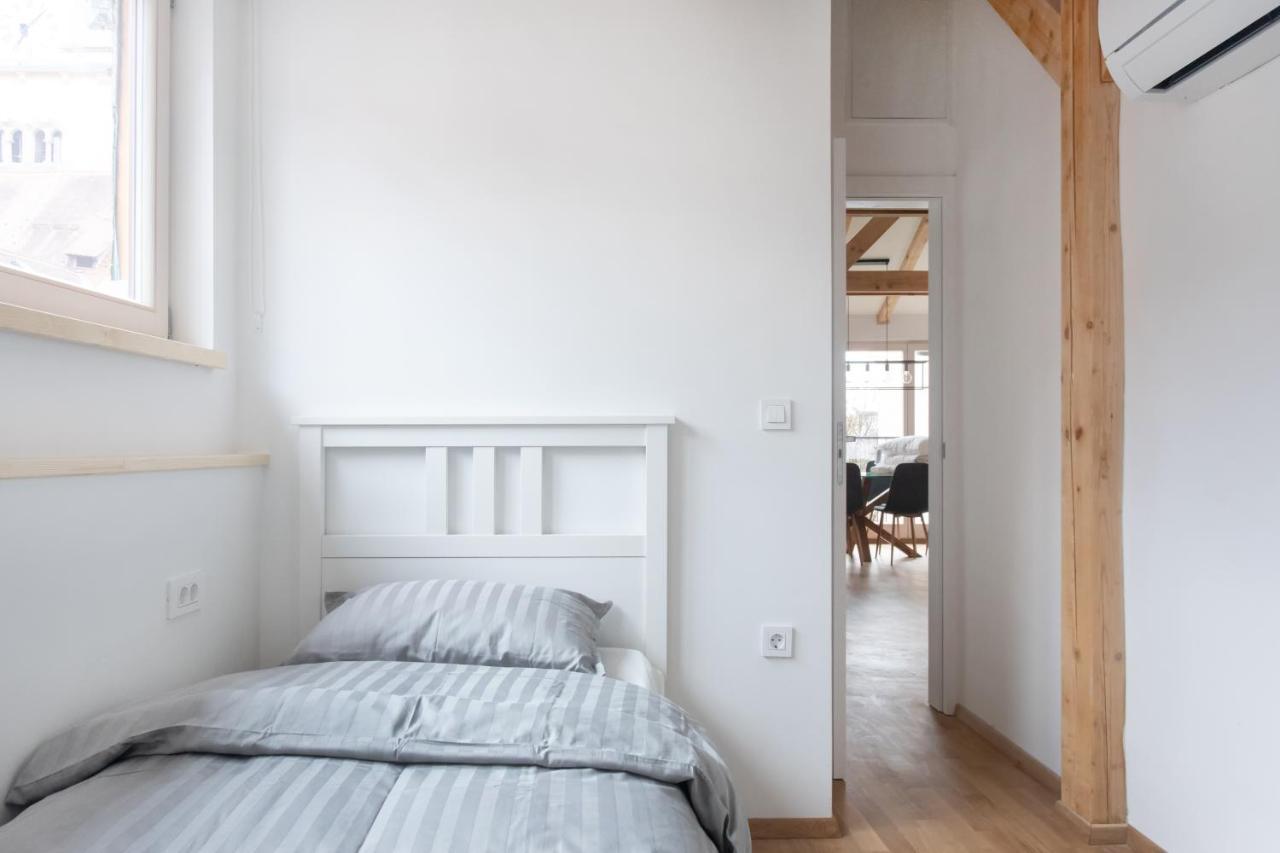 Bright & Spacious Loft In The Heart Of Old Town 卢布尔雅那 外观 照片