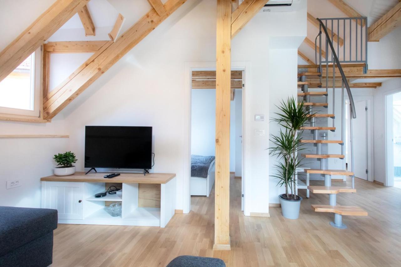 Bright & Spacious Loft In The Heart Of Old Town 卢布尔雅那 外观 照片